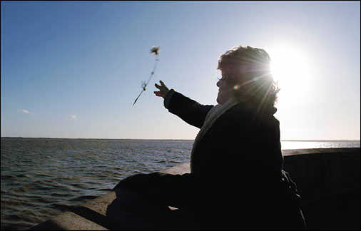 Photograph © Sean Spencer, Hull News and Pictures