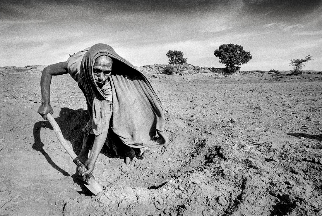 Tigrean lady terracing. Photo © Neil Cooper.